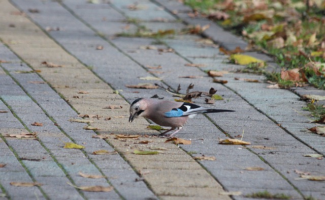 自食其果