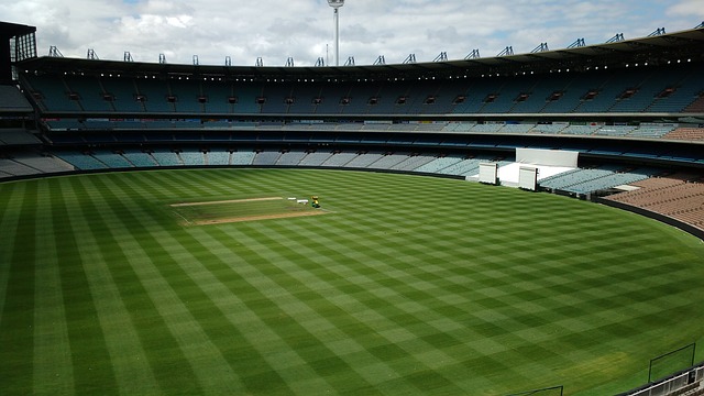 雷迪克证实 雷迪克证实