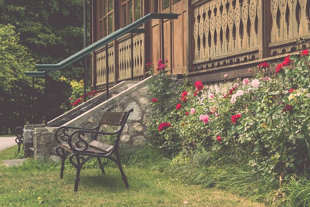 多人喜爱的 多人喜爱的