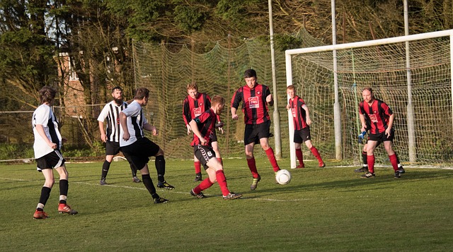 发布了一组 发布了一组